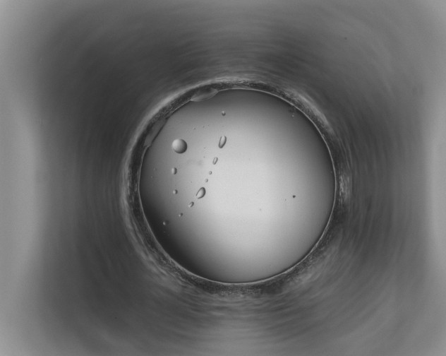 X0000110690724200906121225