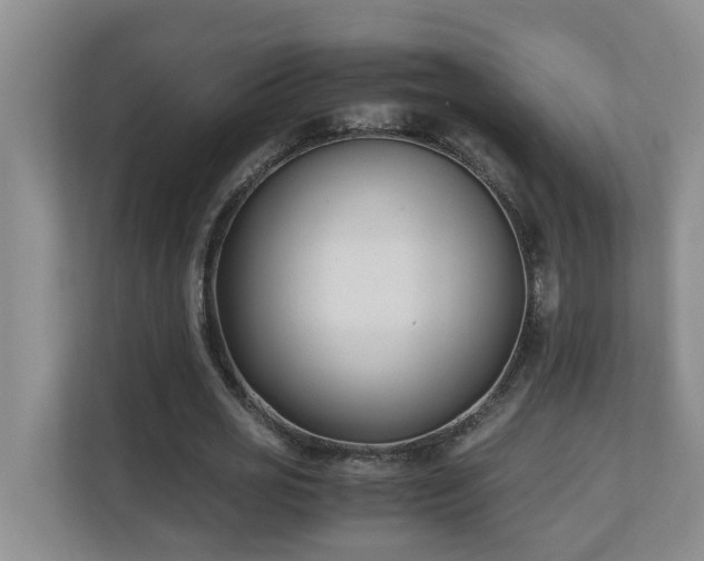 X0000110690725200906121225