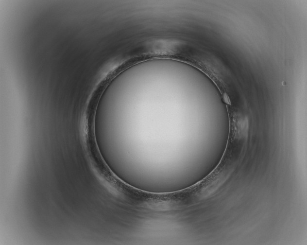 X0000110690726200906121225