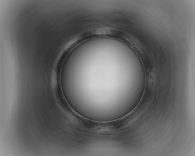 X0000110690727200906121225