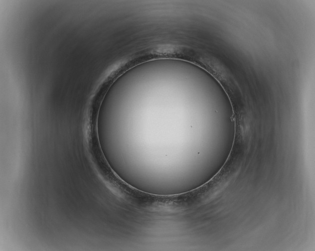 X0000110690728200906121225