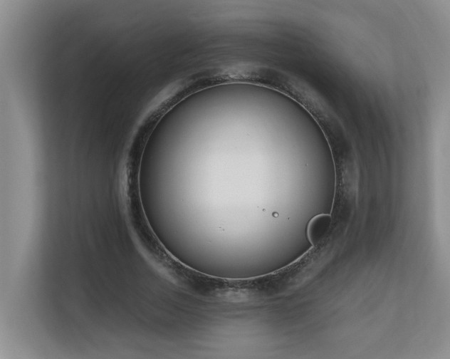 X0000110690730200906121225