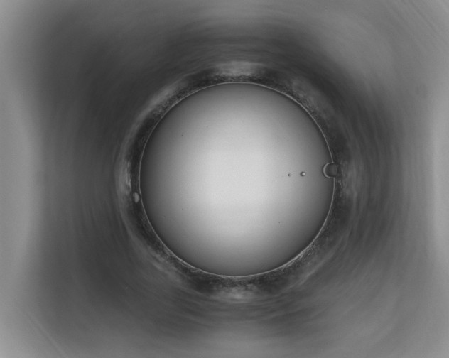 X0000110690731200906121225