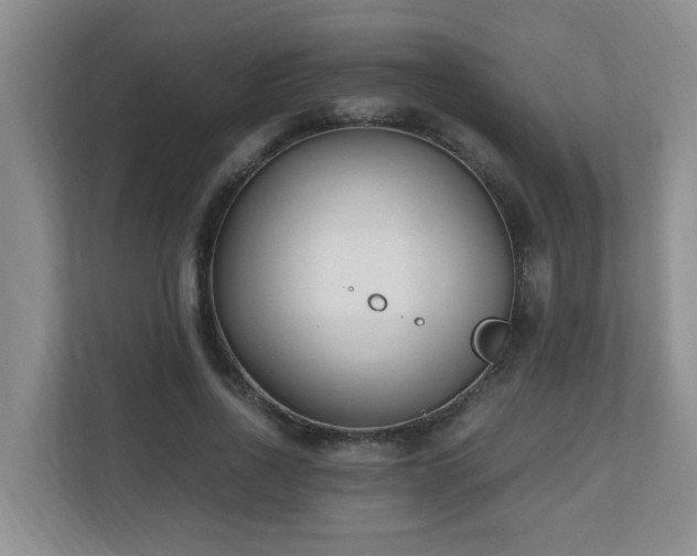 X0000110690734200906121225