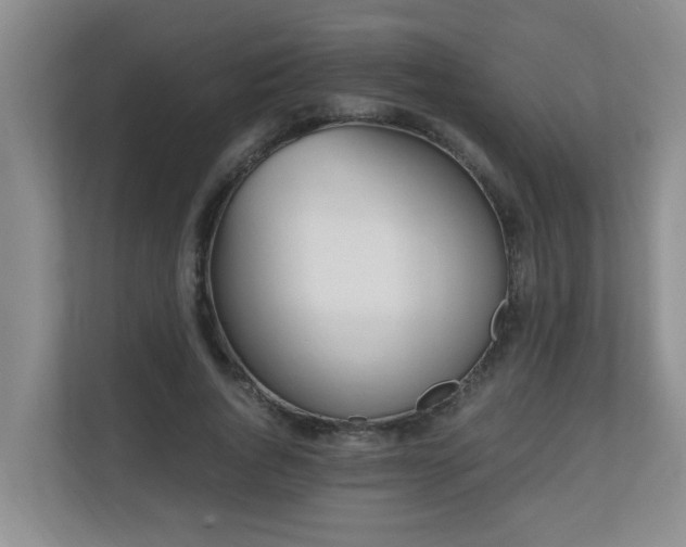 X0000110690736200906121225