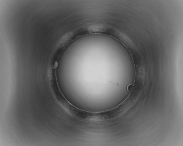 X0000110690738200906121225