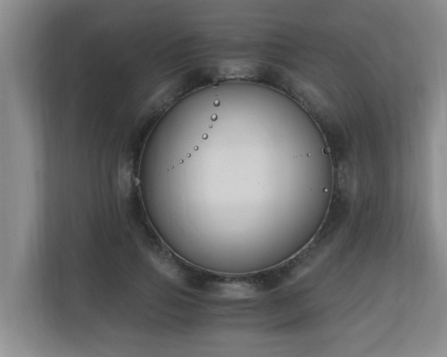 X0000110690741200906121225