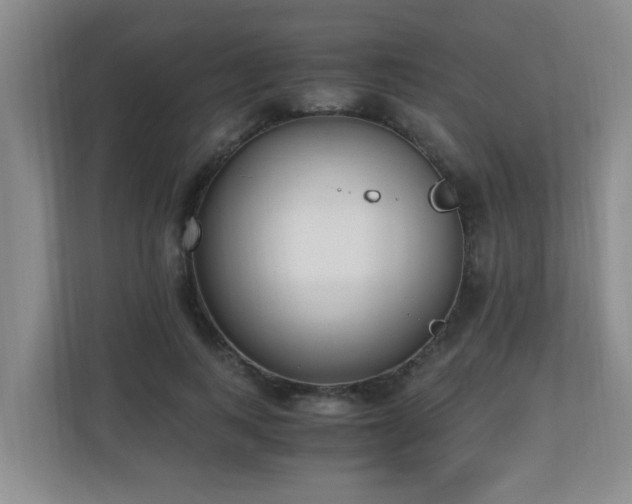 X0000110690743200906121225