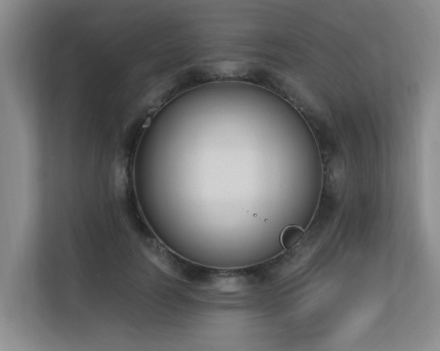 X0000110690746200906121225