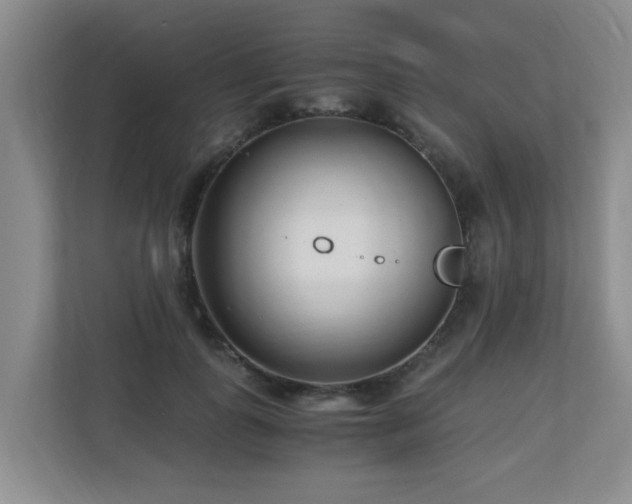 X0000110690747200906121225