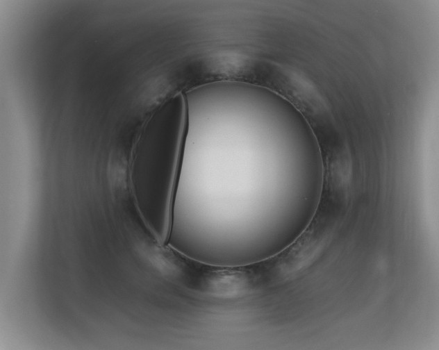 X0000110690750200906121226