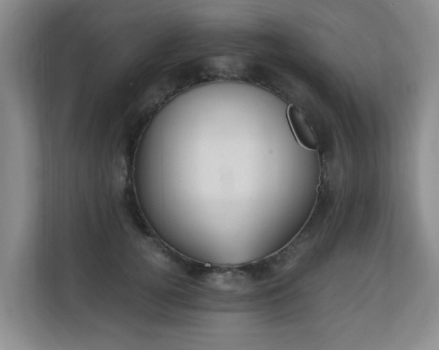 X0000110690752200906121226