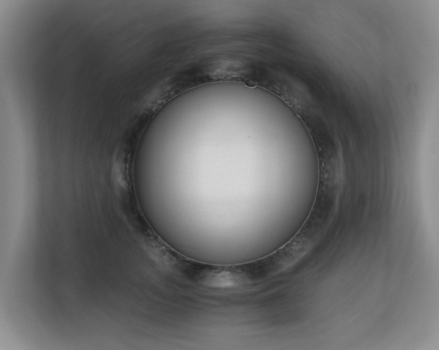 X0000110690755200906121226