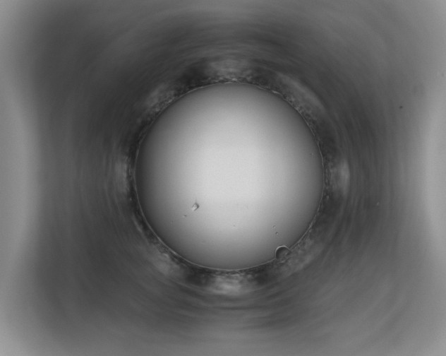 X0000110690757200906121226