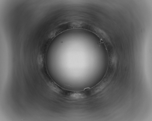 X0000110690759200906121226