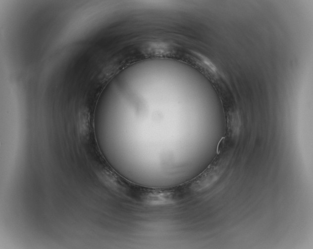 X0000110690760200906121226