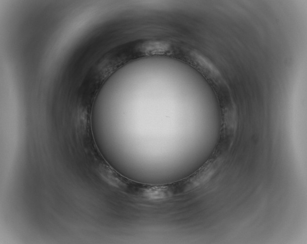 X0000110690761200906121226