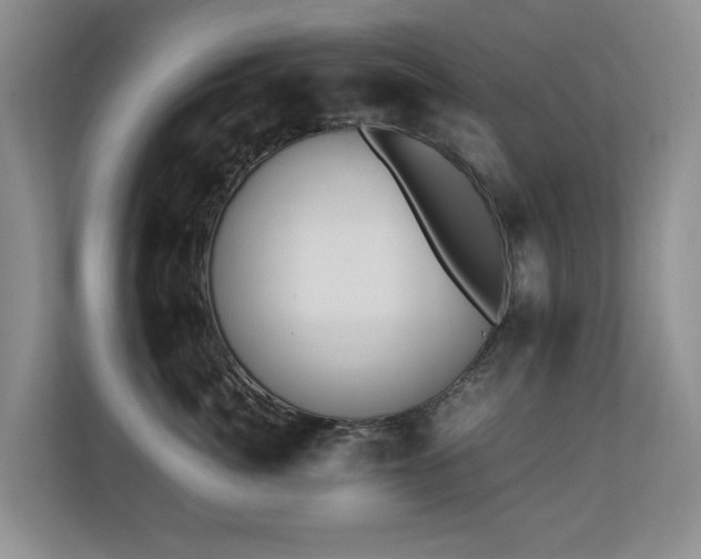 X0000110690764200906121226