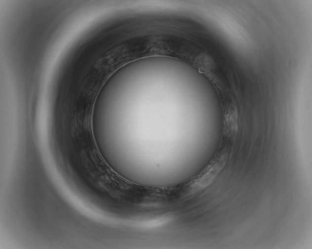 X0000110690765200906121226