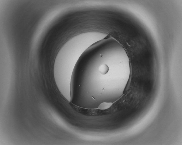 X0000110690766200906121226