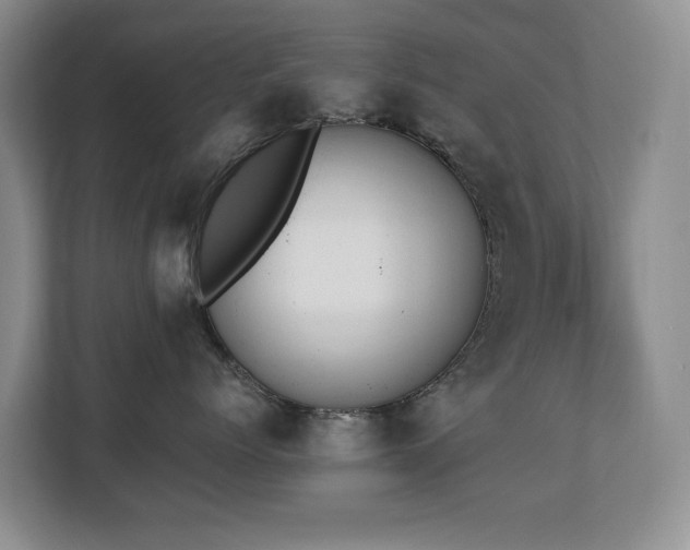 X0000110690768200906121226