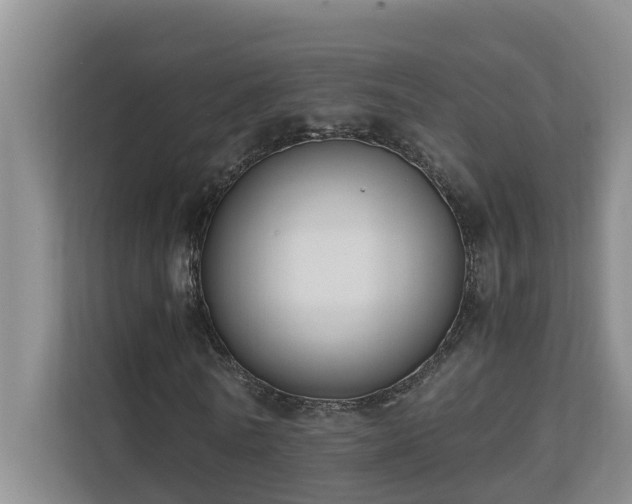 X0000110690770200906121225