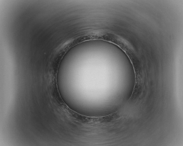 X0000110690773200906121225