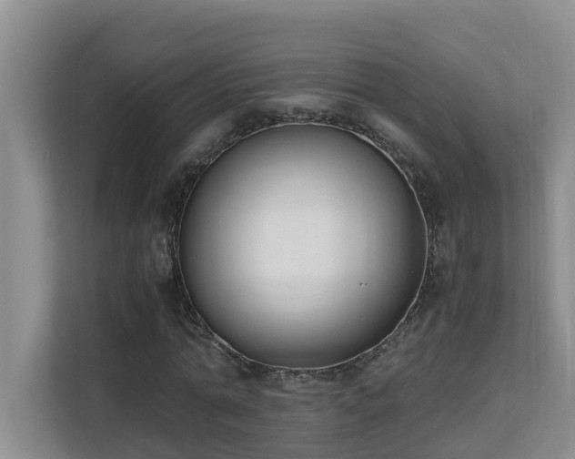 X0000110690774200906121225