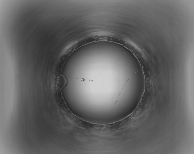 X0000110690775200906121225