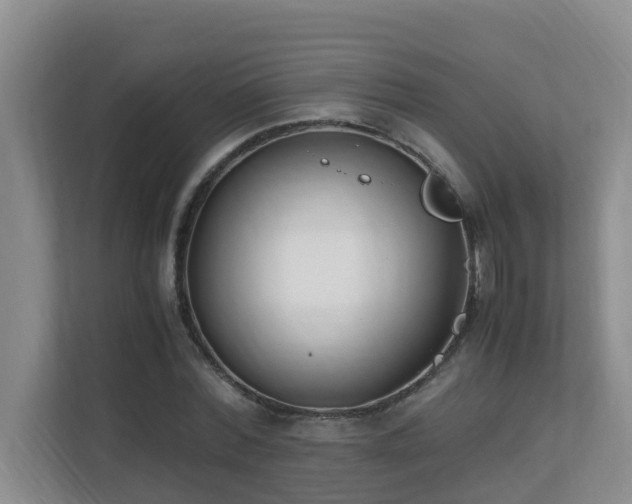 X0000110690780200906121225