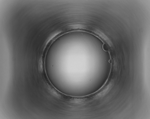 X0000110690782200906121225