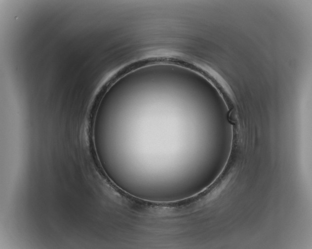 X0000110690783200906121225