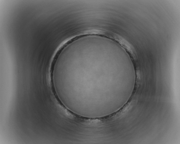 X0000110690784200906121225