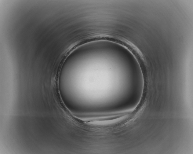 X0000110690785200906121225