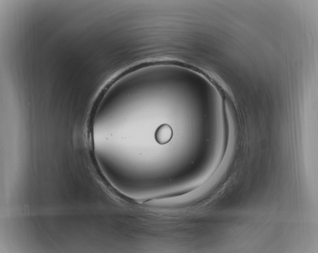 X0000110690789200906121225