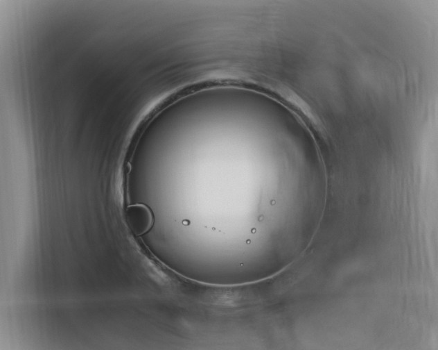 X0000110690791200906121225