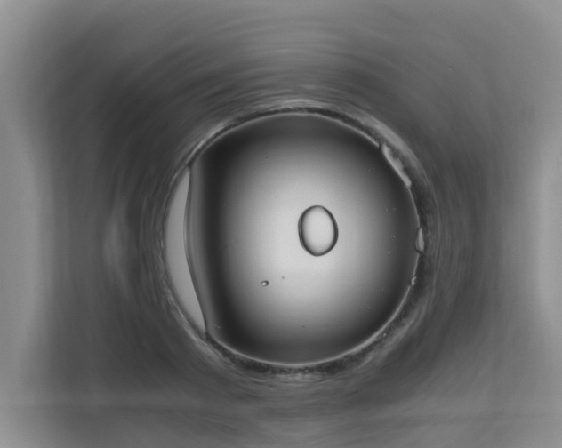 X0000110690793200906121225