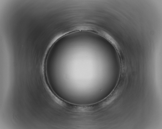 X0000110690803200906121225