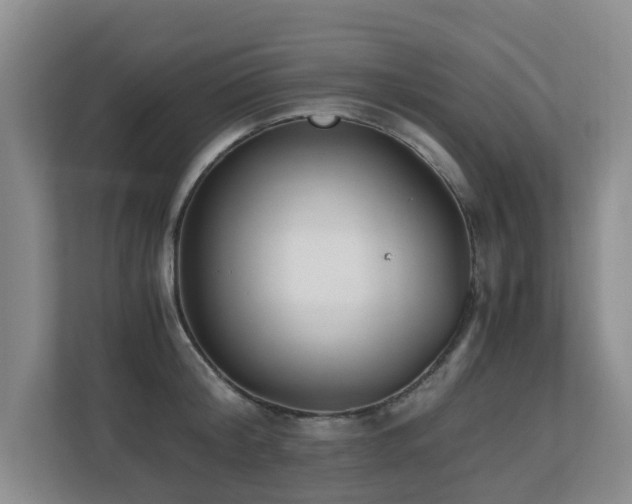 X0000110690804200906121225