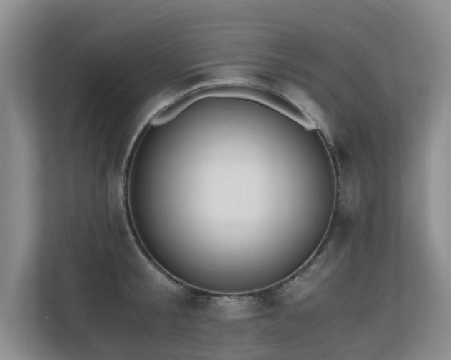 X0000110690805200906121225