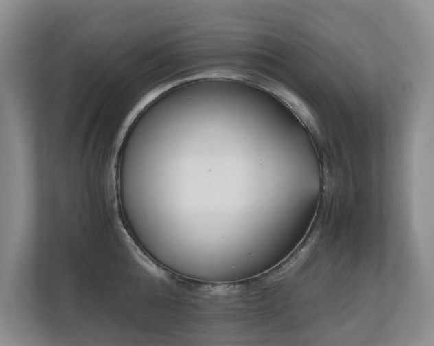 X0000110690808200906121225