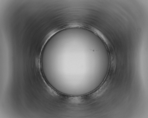 X0000110690810200906121225