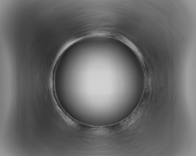 X0000110690811200906121225