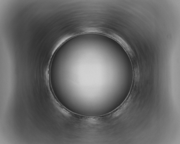 X0000110690814200906121225