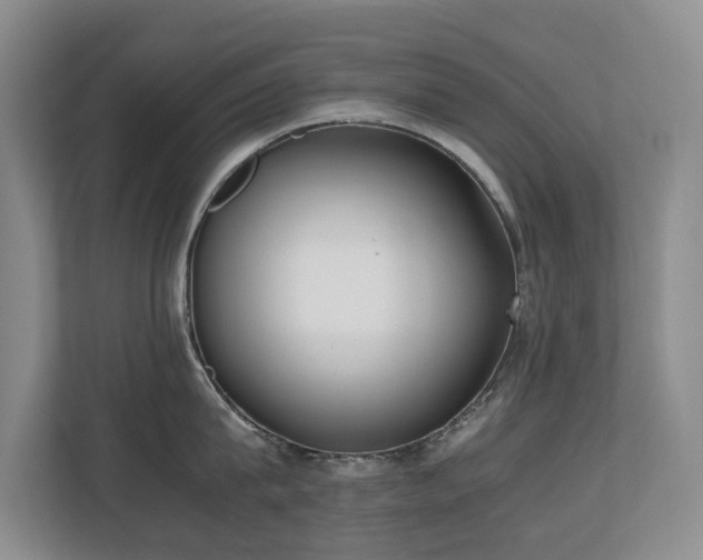 X0000110690815200906121225