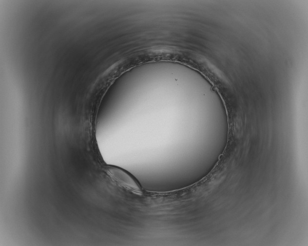 X0000110690821200906121224