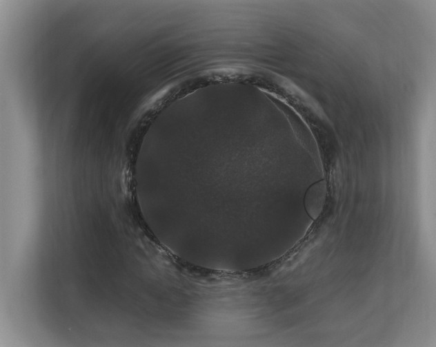 X0000110690822200906121224