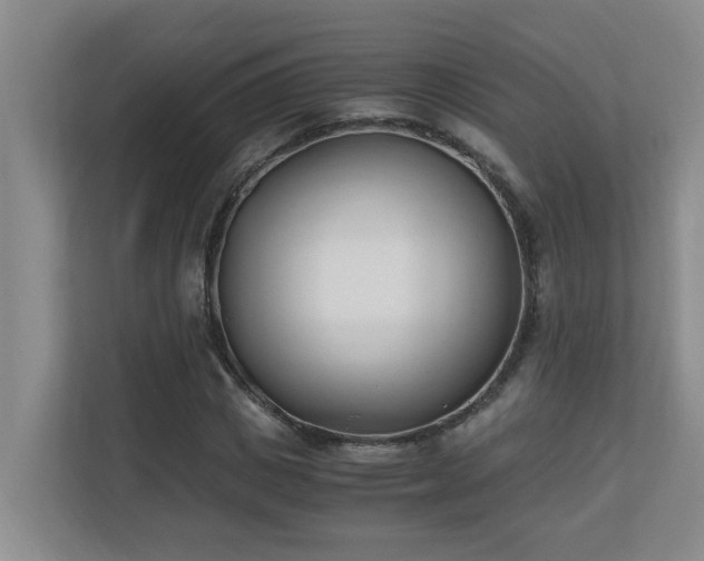 X0000110690825200906121224