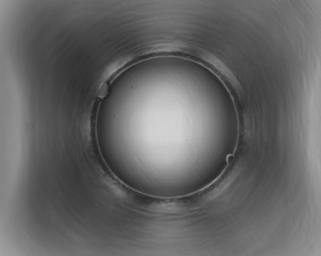 X0000110690834200906121224