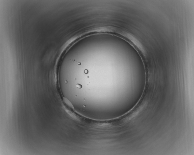 X0000110690837200906121224